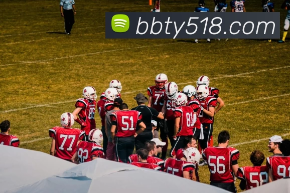 百博体育官网发展历程